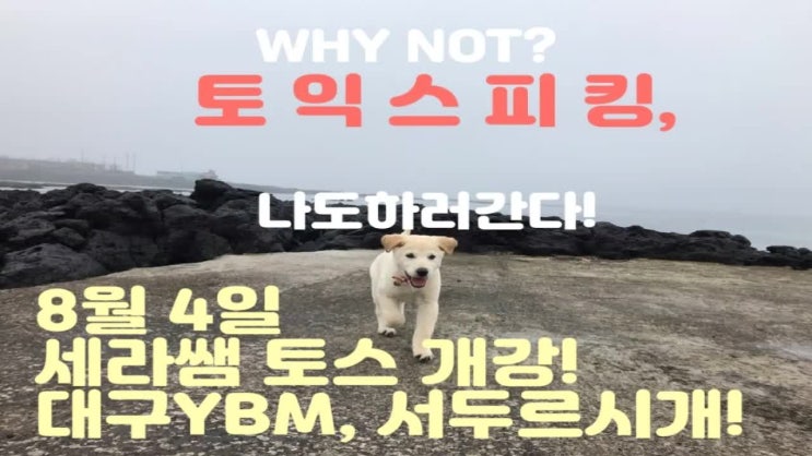  대구토익스피킹은 토스시험장에서 세라쌤이랑!