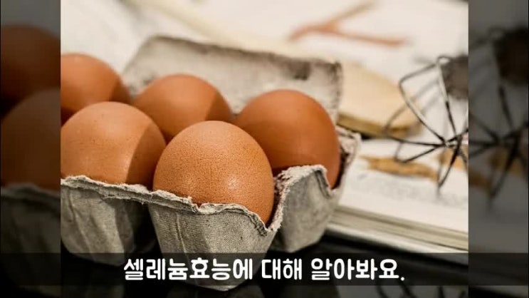  셀레늄효능에 대해 아시나요?