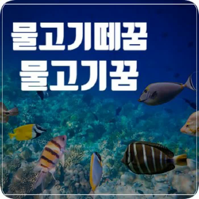 물고기떼꿈, 물고기꿈, 물고기떼태몽 좋은 꿈일까?