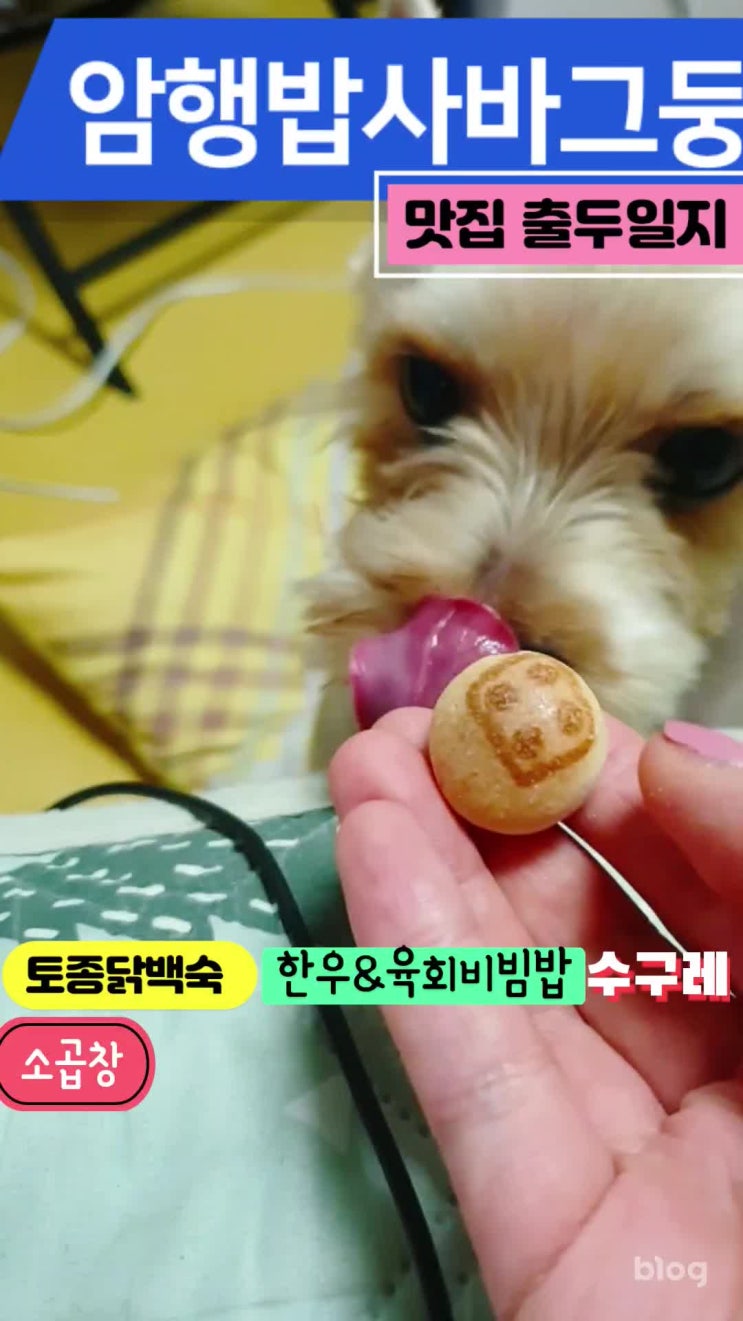  네이버 모먼트로 엣지있는 블로그 소개 영상 만들었어요!