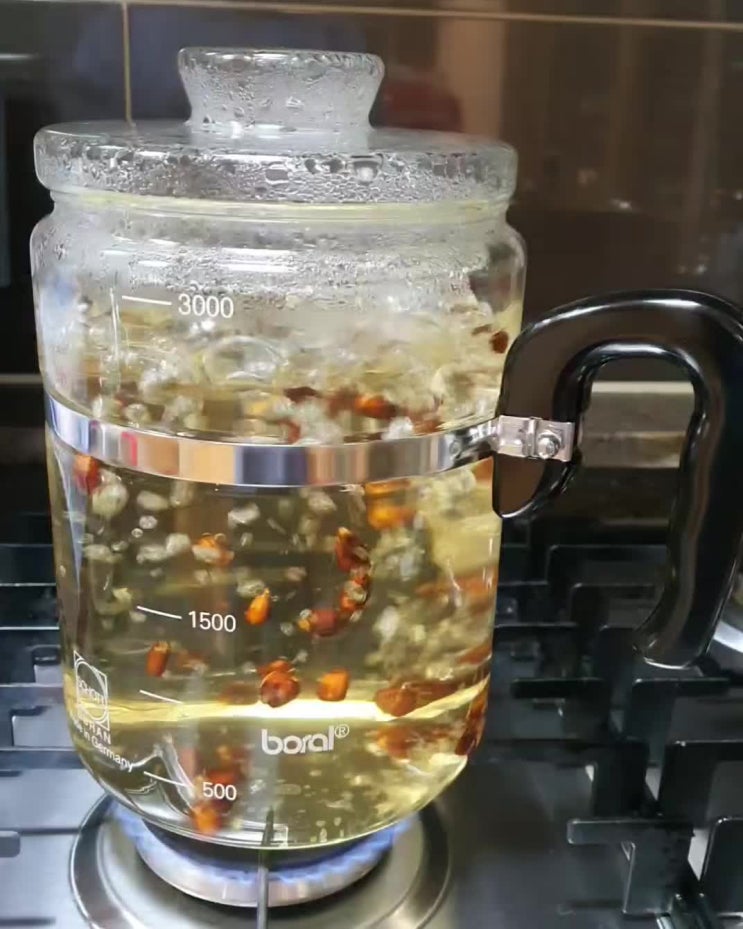 보랄 유리 약탕기 (Boral Glass Pot) 구매리뷰 네이버 블로그