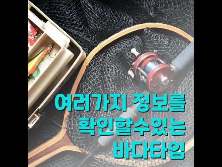 바다타임으로 재미난 낚시를 해보자 바다타임으로 재미난 낚시를 해보자