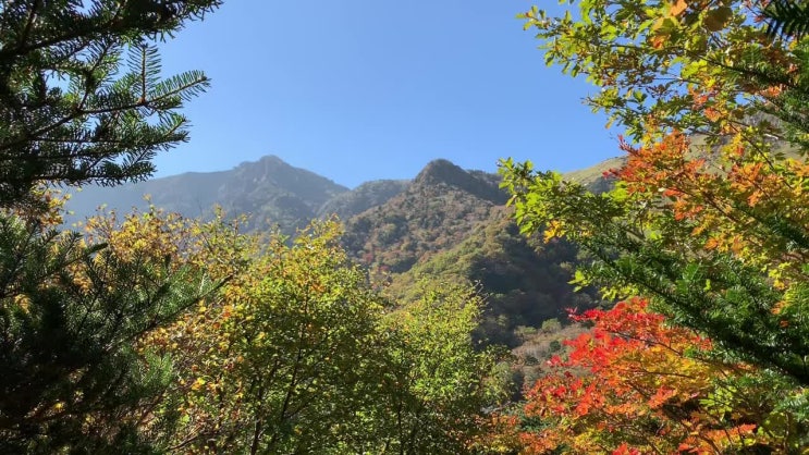 엄마랑 제주도 가을 한라산 백록담 완등하기2 (관음사&gt;성판악코스)