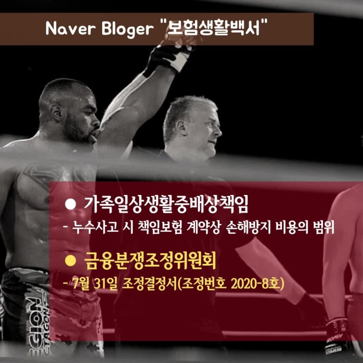  가족일상생활중배상책임 누수사고 시 손해방지비용 범위 - 분조위(금융분쟁조정위원회) 조정결정서 제2020-8호