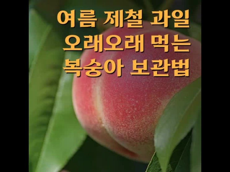 복숭아 보관법만 잘 알아도 두고두고 먹을 수있어요