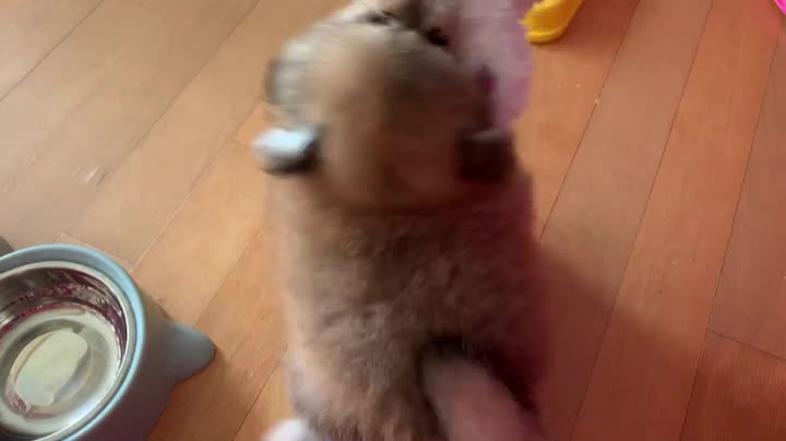  분양후기