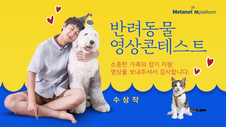  메타넷엠플랫폼 애니멀봐! <feat.반려동물 영상 콘테스트 수상작 20편을 소개합니다!>
