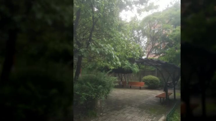  분당 코로나 실내보다는 테니스등 야외운동시설 이용이 안전하다?