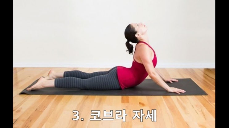  가슴 라인 예쁘게 만드는 요가 자세 5가지