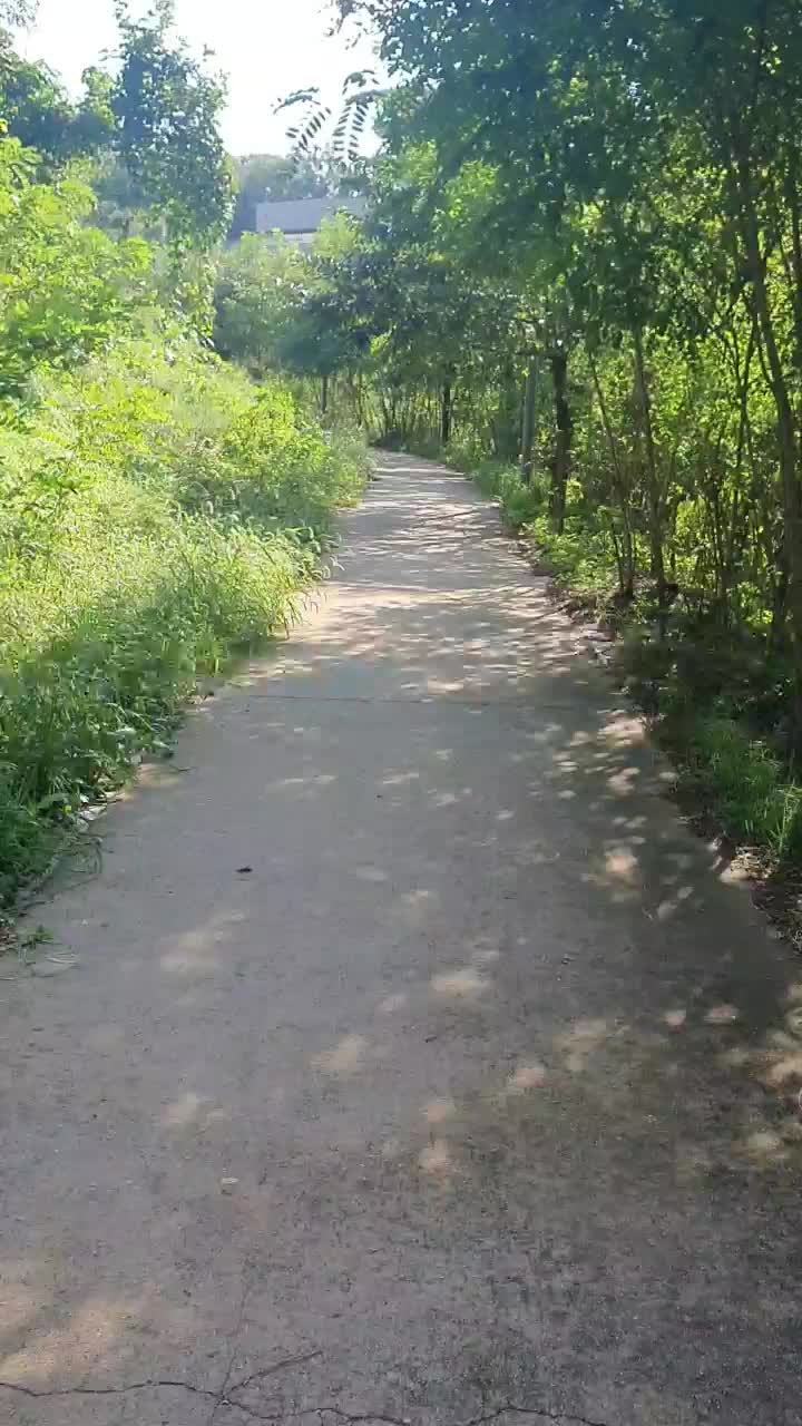  가을하늘 만끽 나만의 챌리저 너와나의거리2m 실천