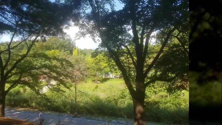  보석취소,보증금 몰취와 환부 형사소송법정리