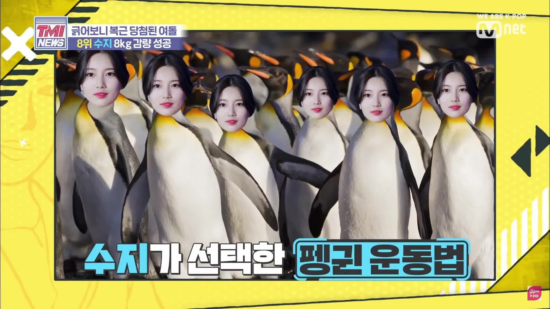 수지다이어트 연예인다이어트 전후
