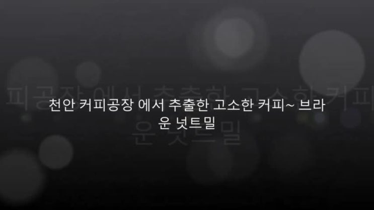  천안 카페 창업 고소한 커피 찾는 방법은?