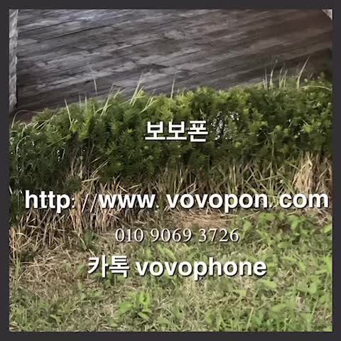  폰테크 관심이 있으시다면