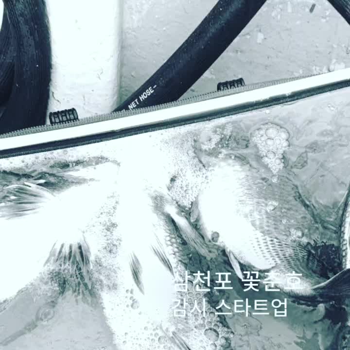  삼천포 감성돔 스타트업,꽃보다청춘호