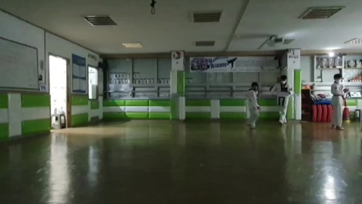  태권도 국기원 심사 1품 도전