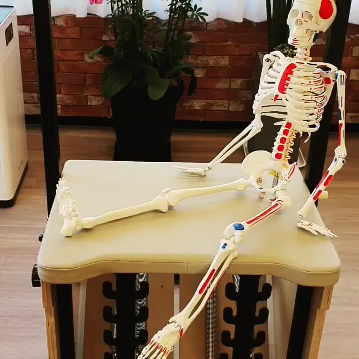  이수역필라테스 자세한 상담은 이쁜골격모형과 함께해요!