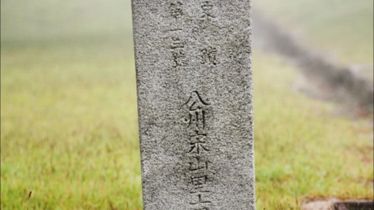  송산리 고분군 6호분 백제 제25대 무령왕릉 발굴 문제점 조사 (유물 복원 문제, 문화유산 보존 중요성, 문화재 보존법 개정 필요성, 굴식 돌방무덤 형식 도굴 취약한 구조)