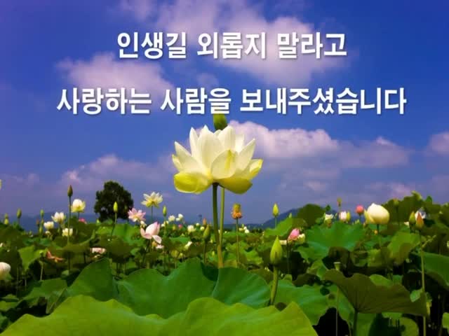 행복한 인생길=좋은 인연(영상) : 네이버 블로그