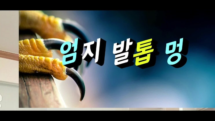  엄지발톱 멍 검은색 버킷리스트