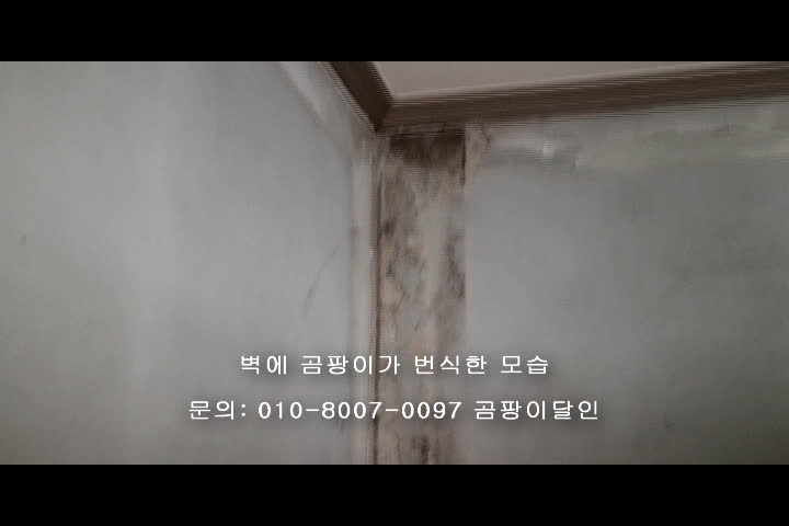  결로 현상 곰팡이 번식의 원인!
