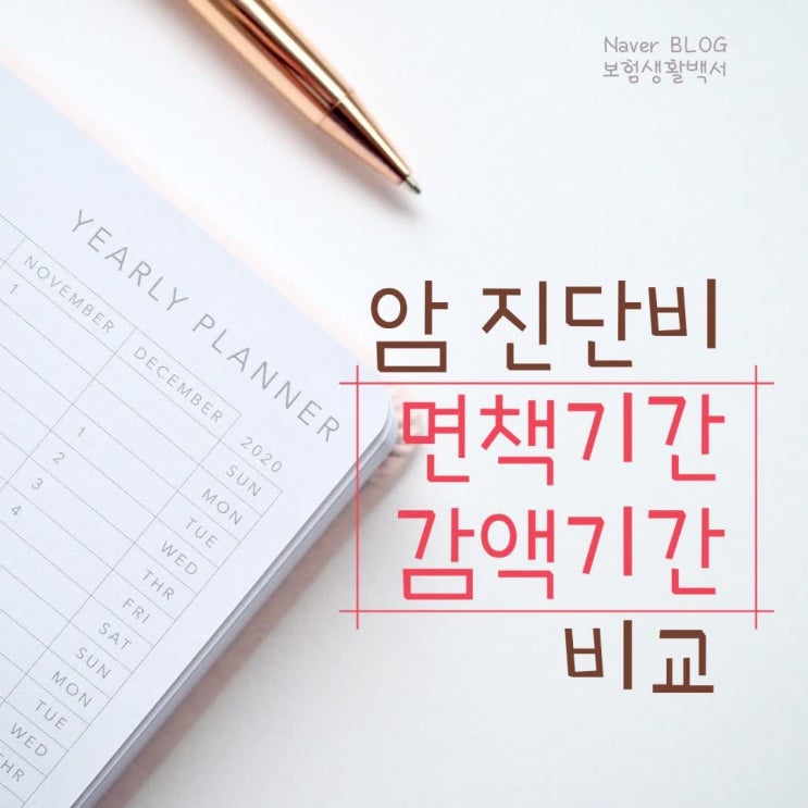  현대해상, 메리츠화재, KB손해, DB손해, 삼성화재 성인 암진단비 보장에서 면책기간과 감액기간 비교