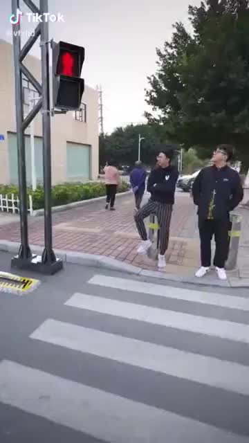  대한민국에 이런 횡단보도가 들어온다면?