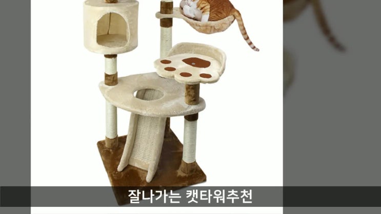 캣타워가격 순위 비교 잘나가는 캣타워추천 TOP 50 캣타워후기