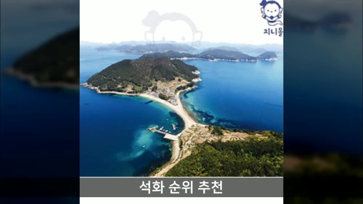  석화 순위 추천 지니몰 새벽경매 생산지 배송 싱싱한 하프셀 35미 70미 105미, 하프셀 1단 35미 내외 가격 후기