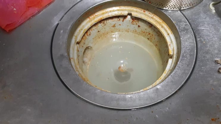  휘경동 이문동 하수구막힘 면목본동 망우본동 싱크대막혔을때 아파트배수관역류