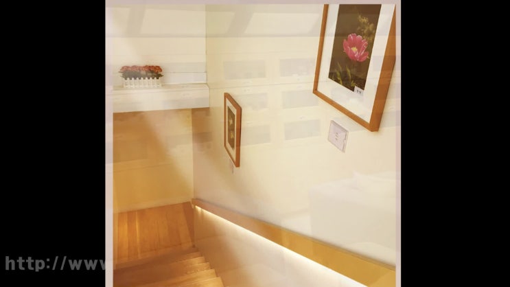  안성 강아지 장례 애견 화장 반려동물 화장터 반려견 장례식장, 과정과 비용을 살펴보세요!