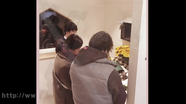  서울 강아지 장례 반려동물 화장, 어떤 선택을 해야 할까?
