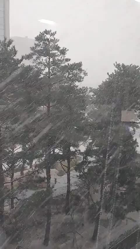  어?? 눈이다! 눈 와요~ 펑펑!