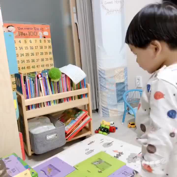  따서조립하기, 공룡 만들기세트