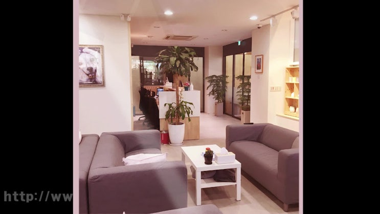  일산 강아지 장례식장 애견 장례 화장터, 마음과 마음으로 함께 하는 곳!