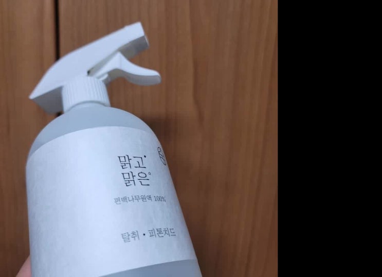  은색벌레 빨리 제거하세요