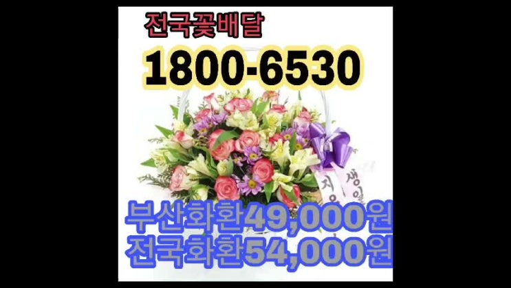  장례식장 문상예절 절하는법 근조화환 주문 배달예약 상가집문상 알려드립니다