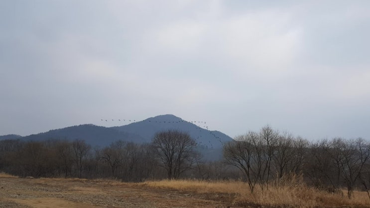  [비내섬], 한강 36경 중 7경, 자연이 준 선물