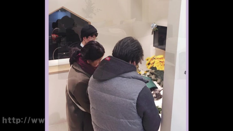  군포 강아지 장례 고양이 장례식장, 소중하게 무지개다리로!