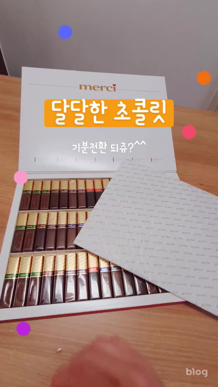  코스트코 초콜릿 메르시