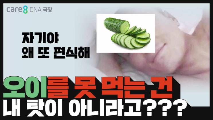  [재밌는] 오이를 못 먹는 건 내 탓이 아니라고? feat. 오이를 못 먹는 과학적인 이유, 오이 대체 채소