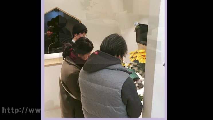  인천 강아지 장례 장례식장, 결정에 관한 필수 확인사항!