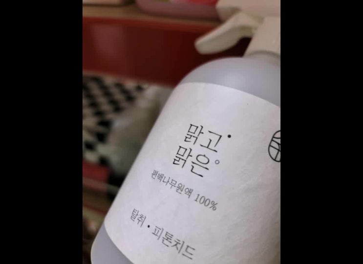  강아지 소취제 자극 없는 편백수가 딱!