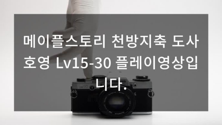  메이플스토리 8월 호영 스킬트리 공략 및 정보
