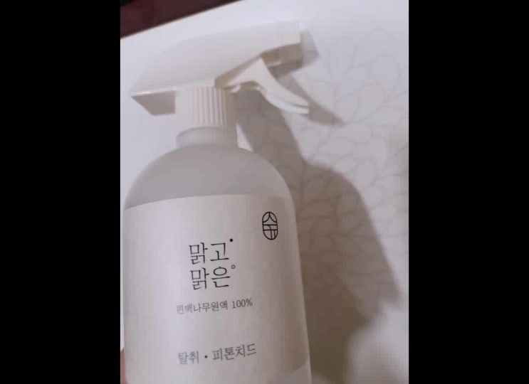  공간살균기 대용으로 쓰기 좋은 피톤치드 알아보기