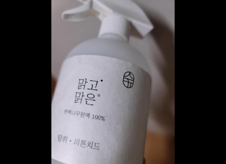  차량 소독기 보다 가성비 좋은 편백수