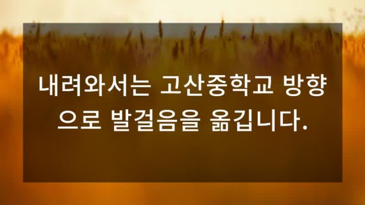  수성구 고산중학교  천을산내 위치한 자연녹지 매매합니다시지동