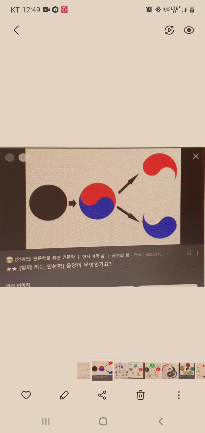  음양의 원리