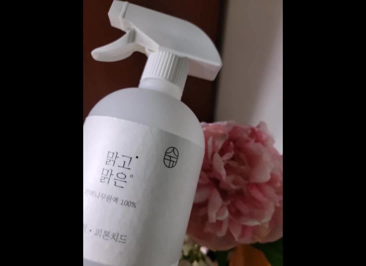 공간살균기 가성비 따져보다 편백수로 결정했어요