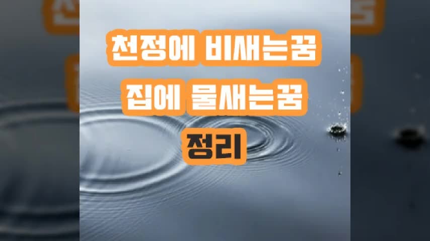 천장에서 물새는꿈 집에 천정에 비새는꿈 정리